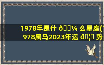 1978年是什 🐼 么星座(1978属马2023年运 🦟 势及运程详解)